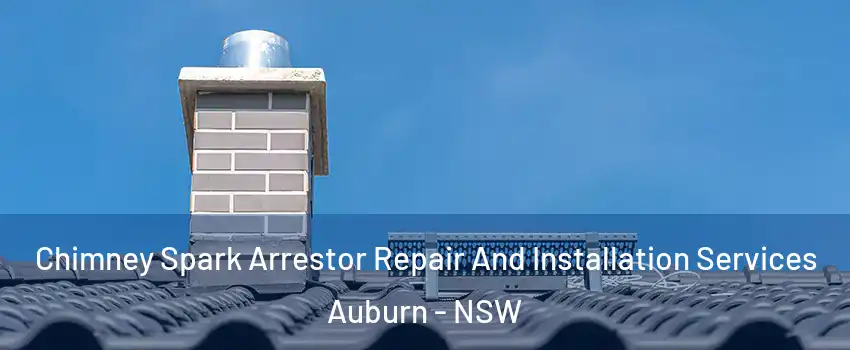 Chimney Spark Arrestor Repair And Installation Services Auburn - NSW