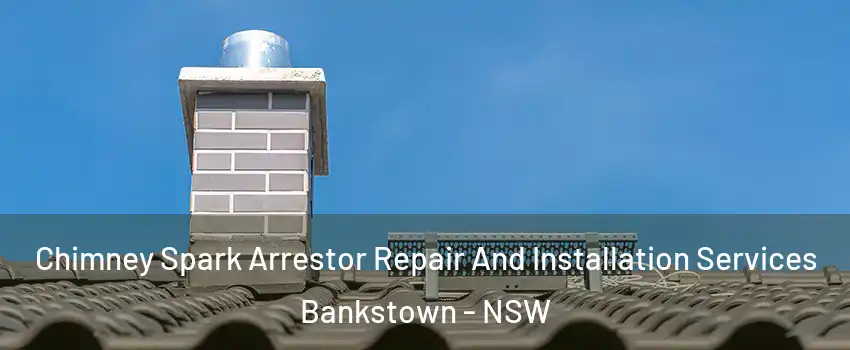 Chimney Spark Arrestor Repair And Installation Services Bankstown - NSW