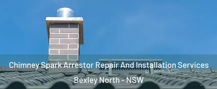 Chimney Spark Arrestor Repair And Installation Services Bexley North - NSW