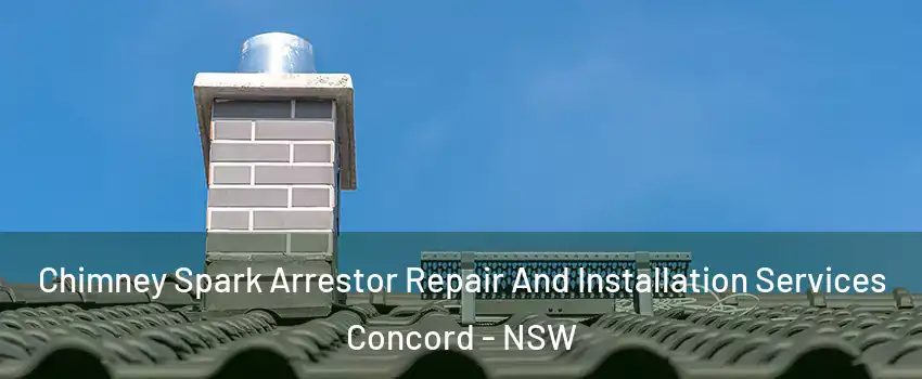 Chimney Spark Arrestor Repair And Installation Services Concord - NSW