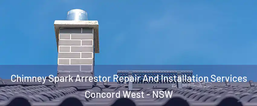 Chimney Spark Arrestor Repair And Installation Services Concord West - NSW