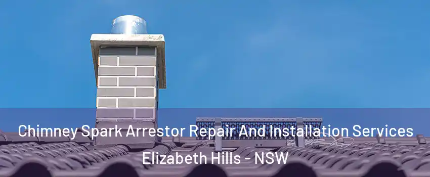 Chimney Spark Arrestor Repair And Installation Services Elizabeth Hills - NSW