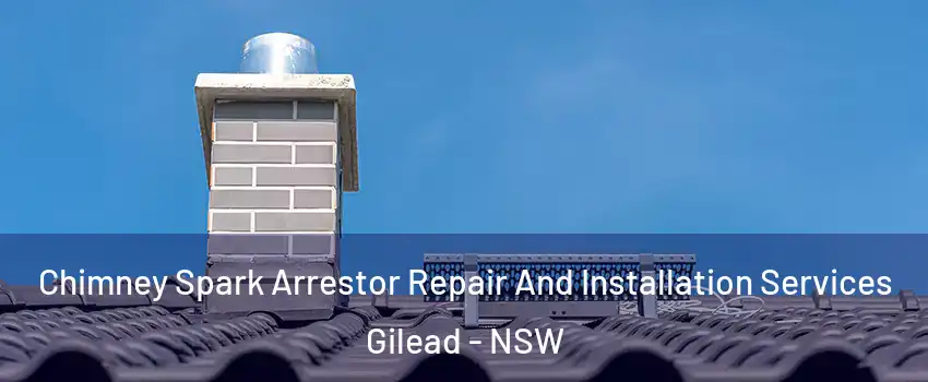 Chimney Spark Arrestor Repair And Installation Services Gilead - NSW