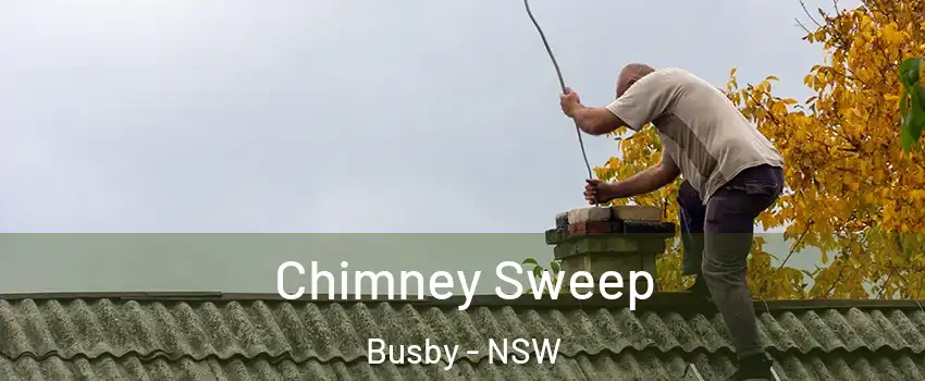  Chimney Sweep Busby - NSW