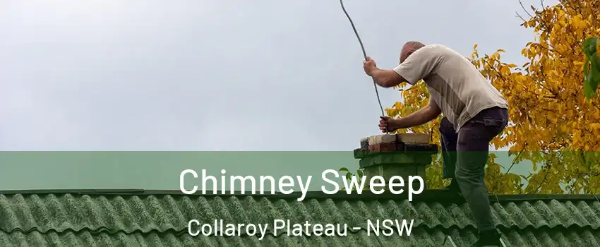 Chimney Sweep Collaroy Plateau - NSW