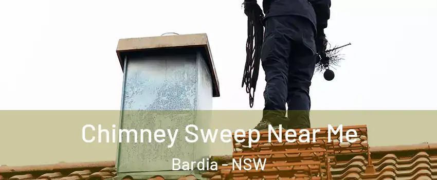 Chimney Sweep Near Me Bardia - NSW