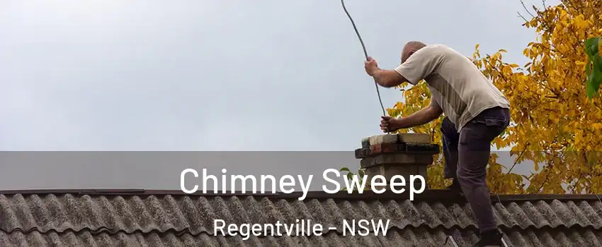 Chimney Sweep Regentville - NSW