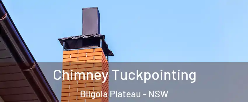 Chimney Tuckpointing Bilgola Plateau - NSW