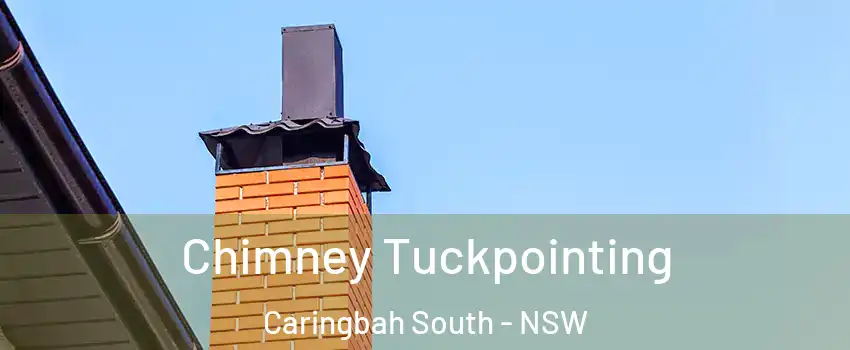 Chimney Tuckpointing Caringbah South - NSW