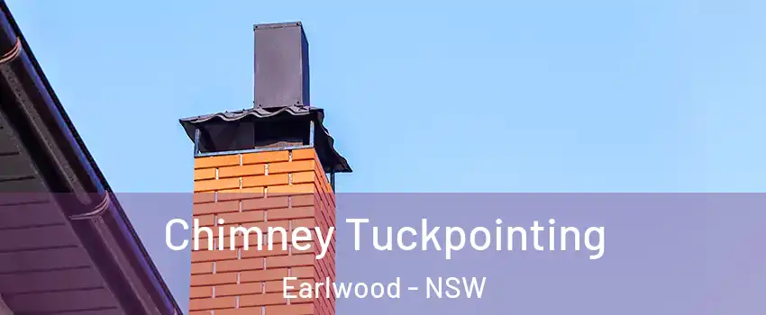 Chimney Tuckpointing Earlwood - NSW