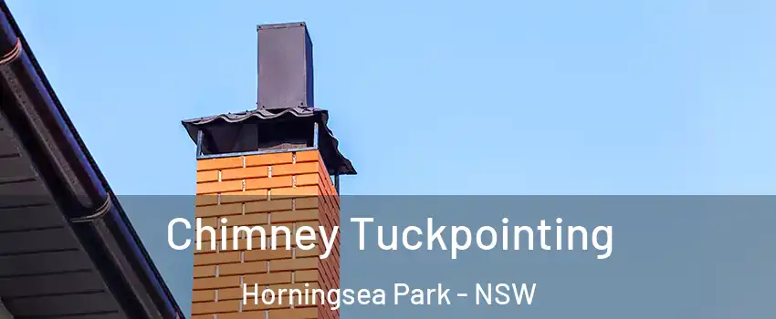 Chimney Tuckpointing Horningsea Park - NSW