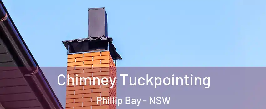 Chimney Tuckpointing Phillip Bay - NSW