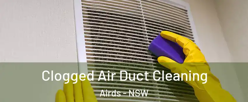 Clogged Air Duct Cleaning Airds - NSW