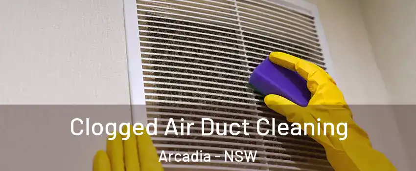Clogged Air Duct Cleaning Arcadia - NSW