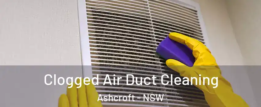 Clogged Air Duct Cleaning Ashcroft - NSW