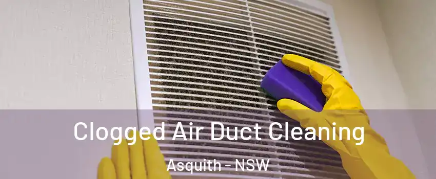 Clogged Air Duct Cleaning Asquith - NSW