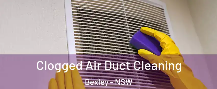 Clogged Air Duct Cleaning Bexley - NSW