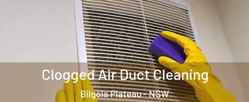 Clogged Air Duct Cleaning Bilgola Plateau - NSW