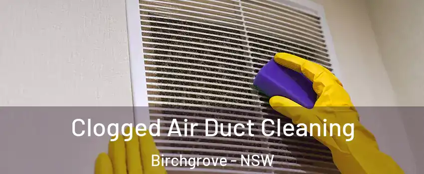 Clogged Air Duct Cleaning Birchgrove - NSW