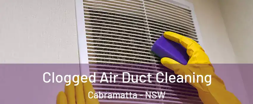 Clogged Air Duct Cleaning Cabramatta - NSW