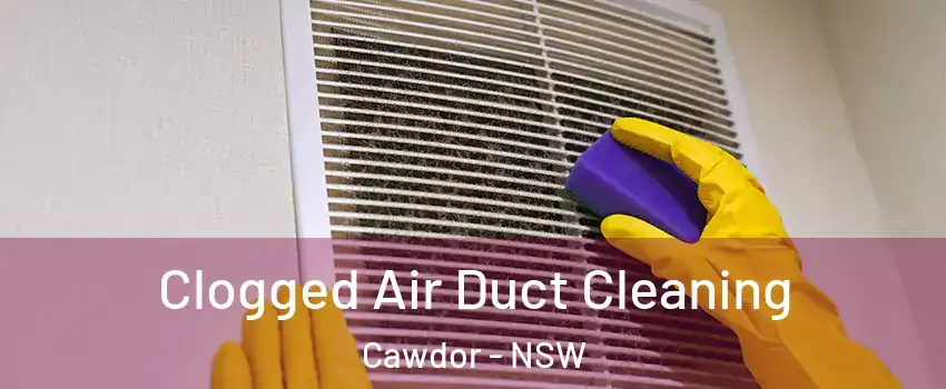 Clogged Air Duct Cleaning Cawdor - NSW