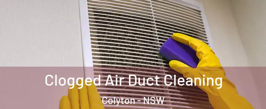 Clogged Air Duct Cleaning Colyton - NSW