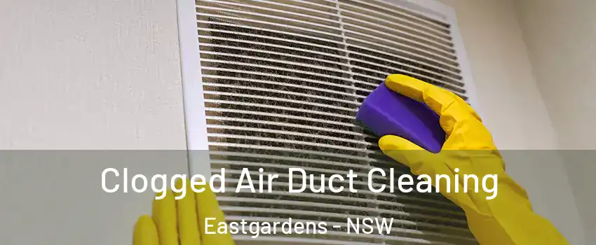 Clogged Air Duct Cleaning Eastgardens - NSW