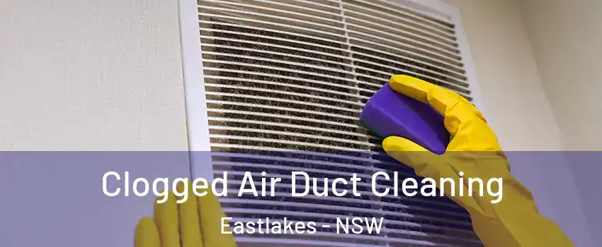 Clogged Air Duct Cleaning Eastlakes - NSW