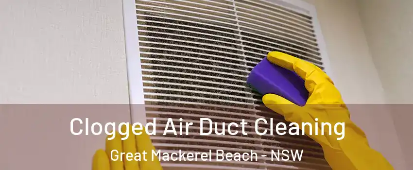 Clogged Air Duct Cleaning Great Mackerel Beach - NSW