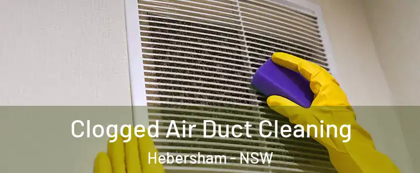 Clogged Air Duct Cleaning Hebersham - NSW