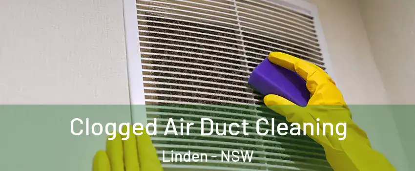Clogged Air Duct Cleaning Linden - NSW