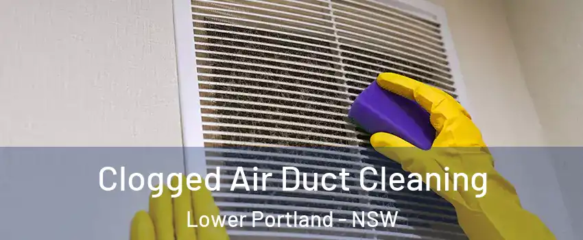 Clogged Air Duct Cleaning Lower Portland - NSW