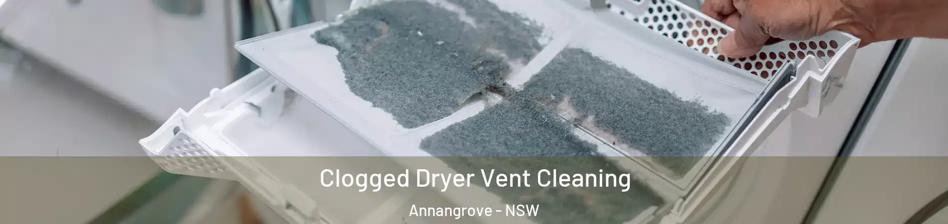 Clogged Dryer Vent Cleaning Annangrove - NSW