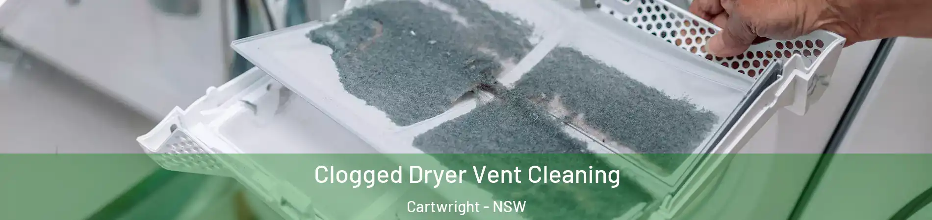 Clogged Dryer Vent Cleaning Cartwright - NSW