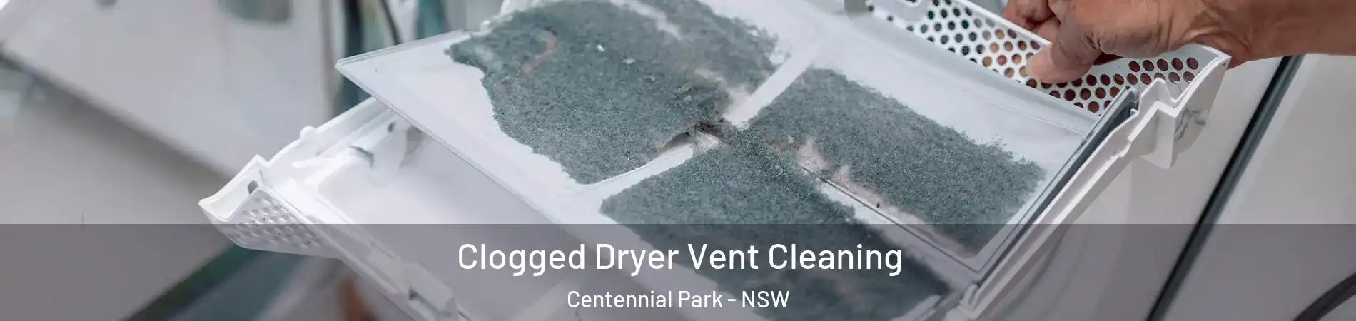 Clogged Dryer Vent Cleaning Centennial Park - NSW