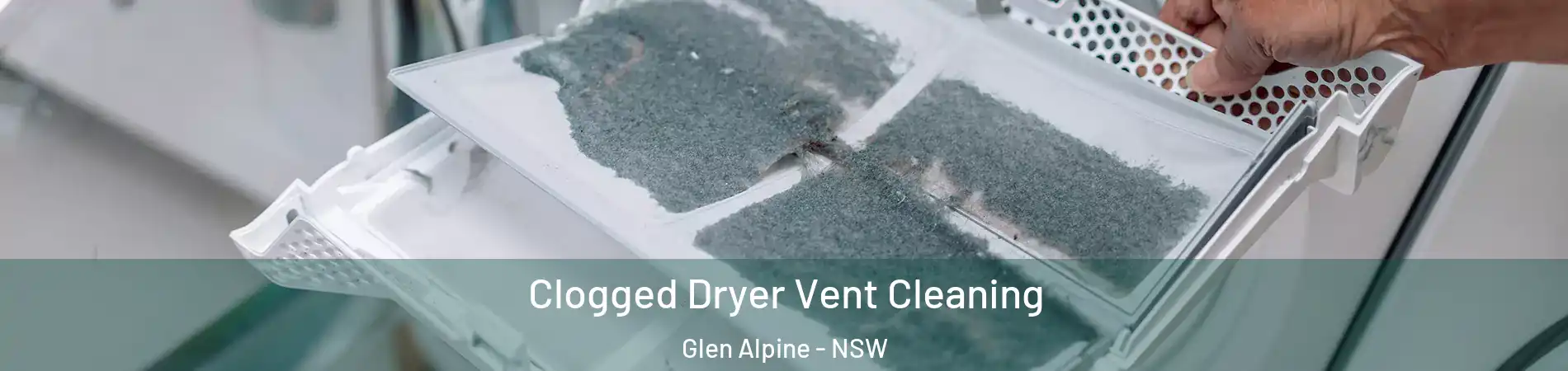 Clogged Dryer Vent Cleaning Glen Alpine - NSW