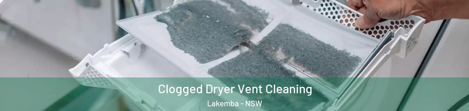 Clogged Dryer Vent Cleaning Lakemba - NSW