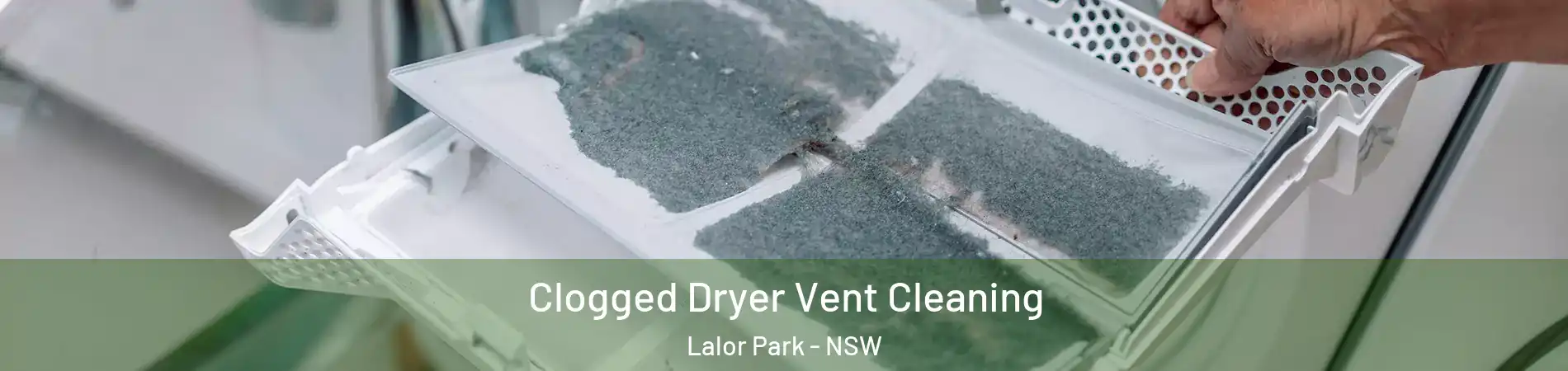 Clogged Dryer Vent Cleaning Lalor Park - NSW