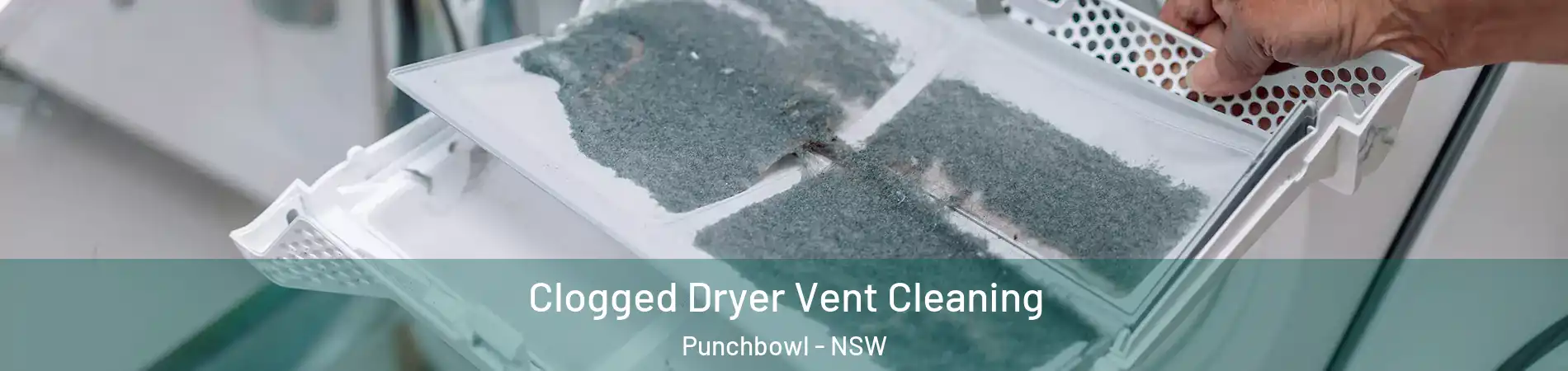 Clogged Dryer Vent Cleaning Punchbowl - NSW