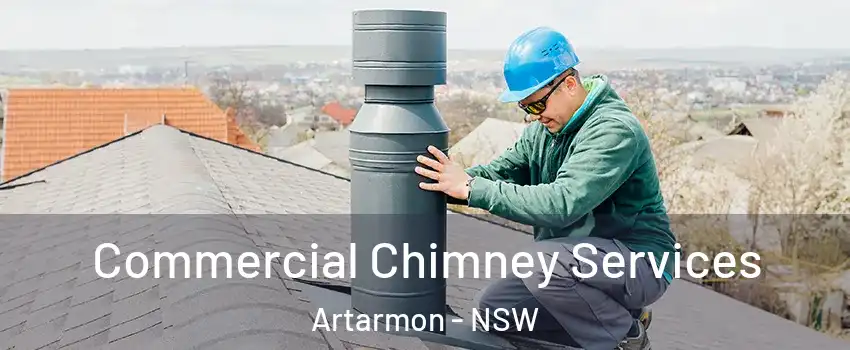 Commercial Chimney Services Artarmon - NSW