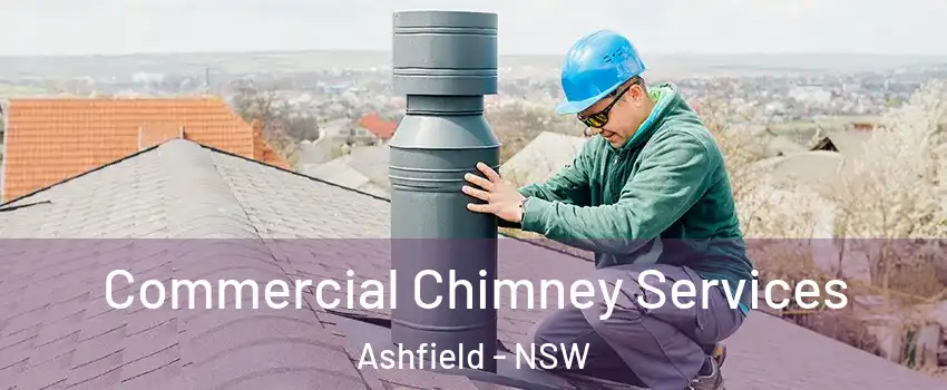 Commercial Chimney Services Ashfield - NSW