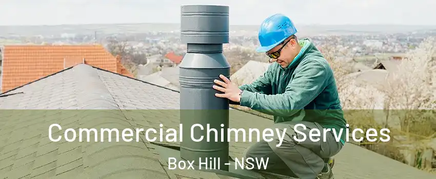Commercial Chimney Services Box Hill - NSW