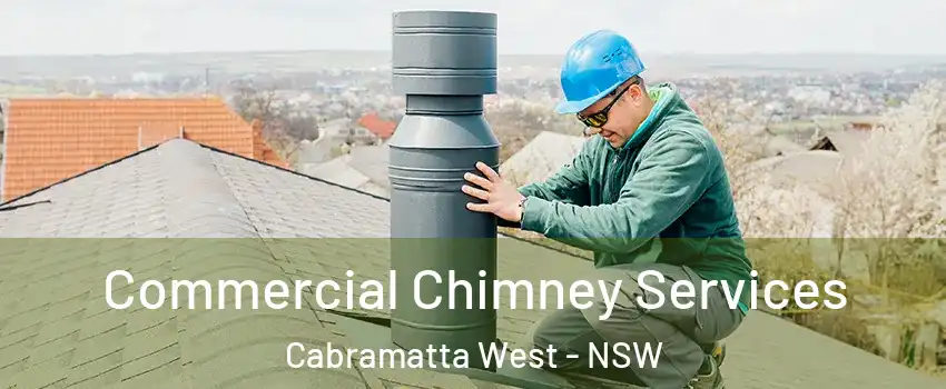 Commercial Chimney Services Cabramatta West - NSW