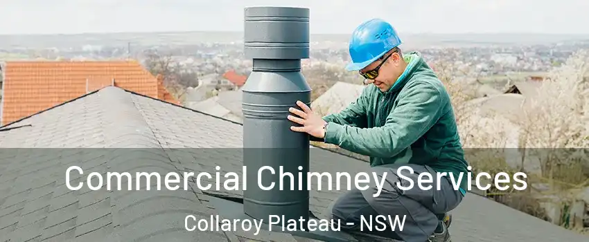 Commercial Chimney Services Collaroy Plateau - NSW