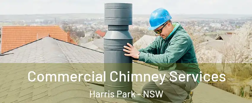Commercial Chimney Services Harris Park - NSW