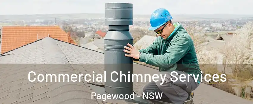 Commercial Chimney Services Pagewood - NSW