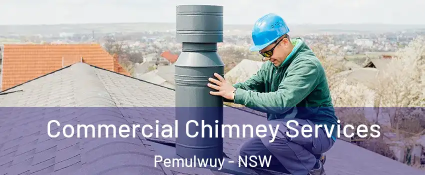 Commercial Chimney Services Pemulwuy - NSW