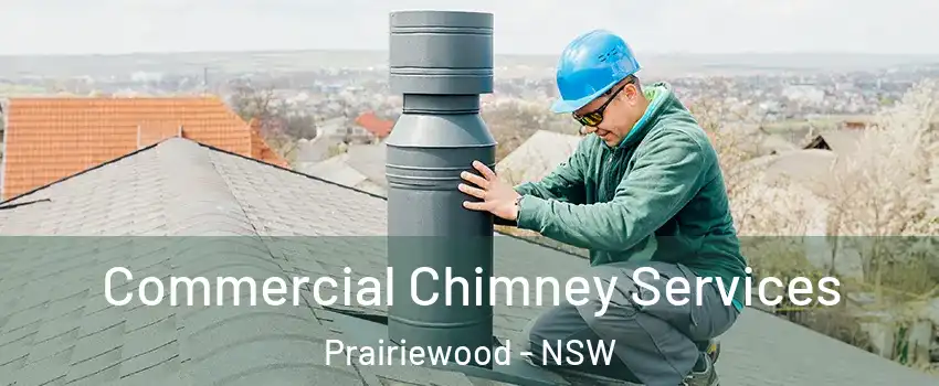 Commercial Chimney Services Prairiewood - NSW