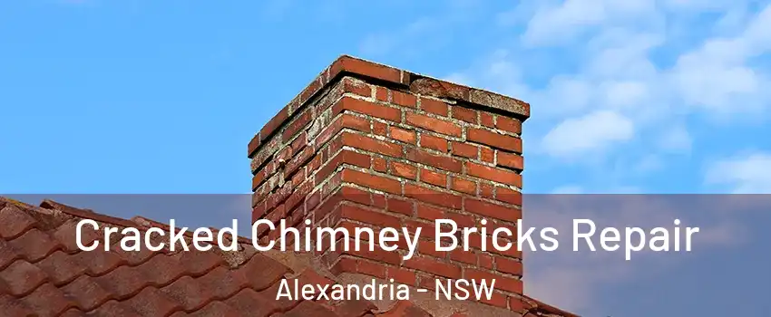 Cracked Chimney Bricks Repair Alexandria - NSW