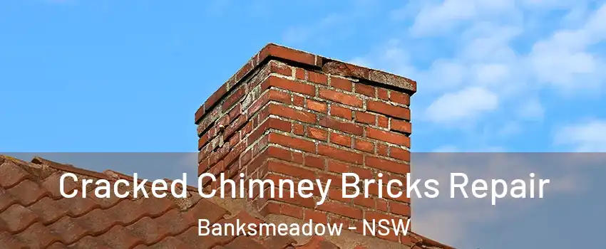 Cracked Chimney Bricks Repair Banksmeadow - NSW